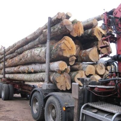 HÊTRE EN GRUME, CAMION DE 50 STÈRES