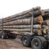 Camion de 30 stères Hêtre Chêne Charme en grume