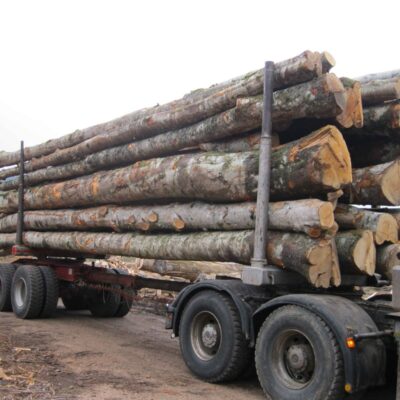 Camion de 30 stères Hêtre Chêne Charme en grume